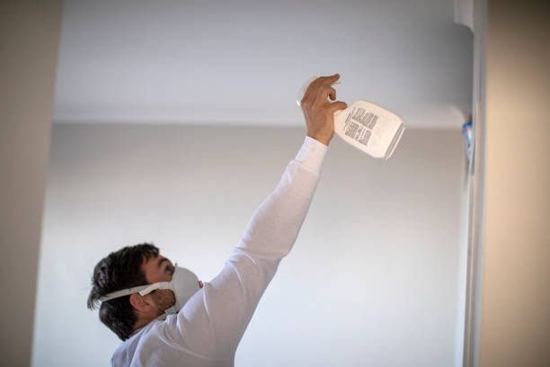 Best Residential Mold Removal  in Ashdown, AR