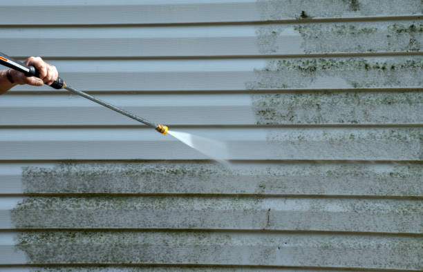 Best Mold Cleaning Services  in Ashdown, AR